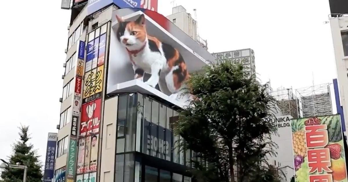もう見た？ 新宿東口のビルから飛び出す3D猫 | ギズモード・ジャパン