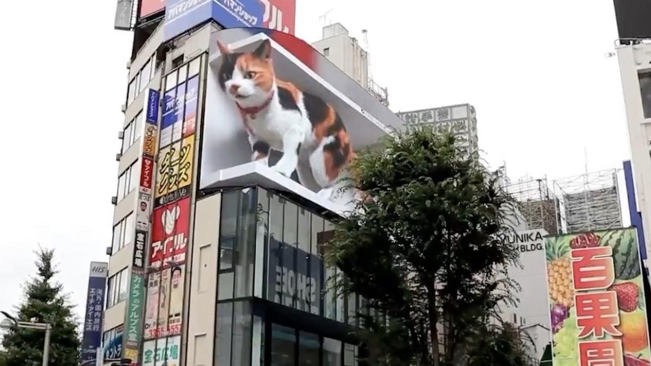 もう見た？ 新宿東口のビルから飛び出す3D猫