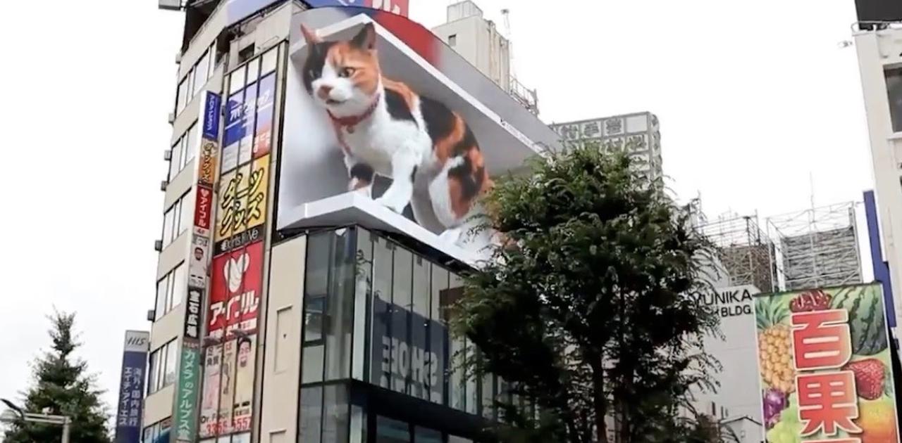 もう見た? 新宿東口のビルから飛び出す3D猫