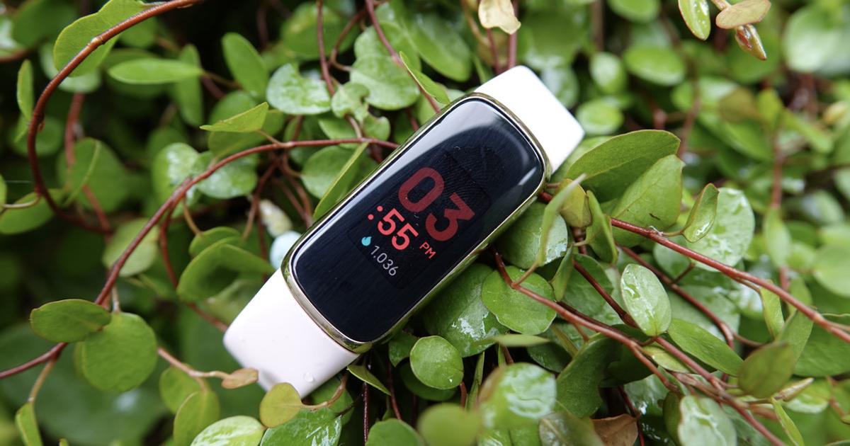 まるでジュエリーのようなフィットネストラッカー： Fitbit Luxe
