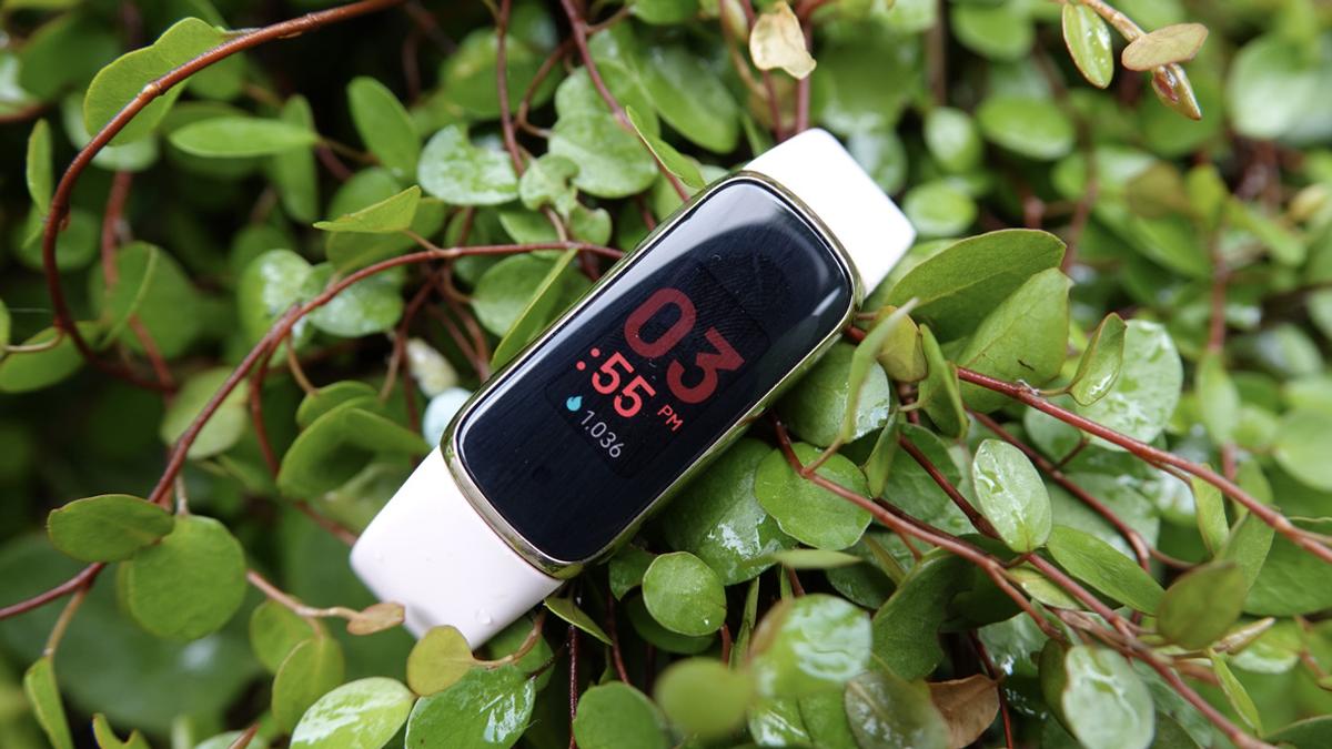 フィットネストラッカー　Fitbit Luxie まるでジュエリーのようなフィットネストラッカー： Fitbit Luxe