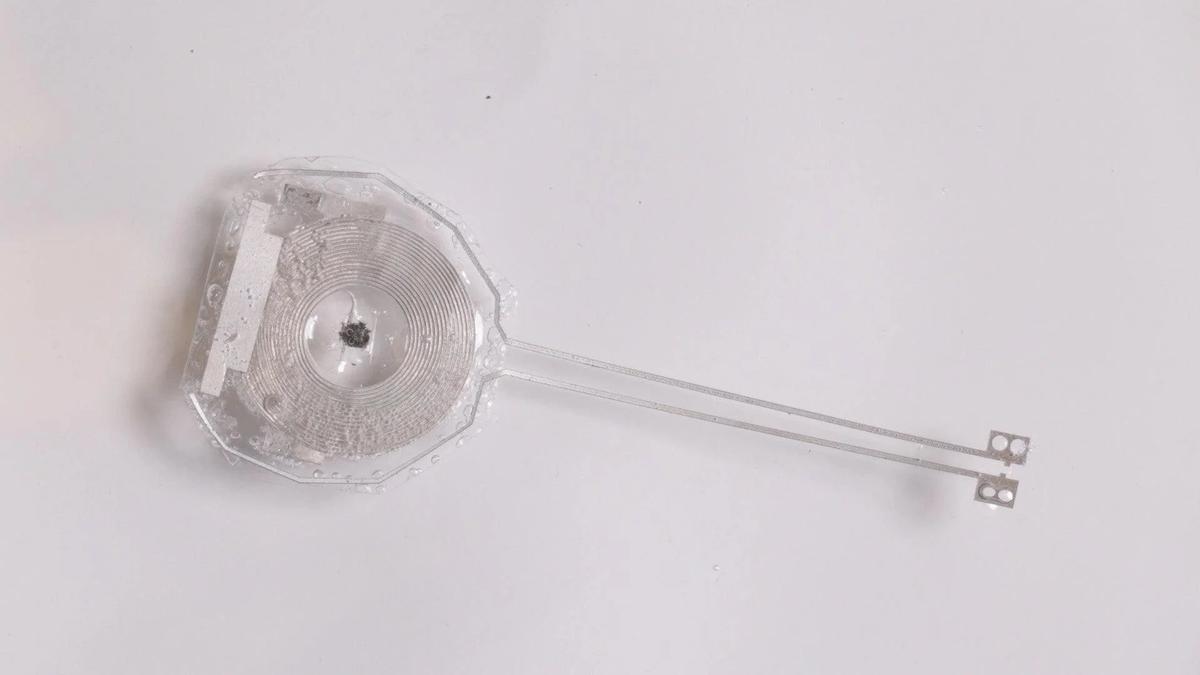 役目を終えたら溶けてなくなる。生物分解可能なペースメーカー | ギズモード・ジャパン