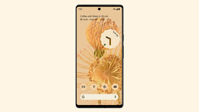 20210804Pixel6_front
