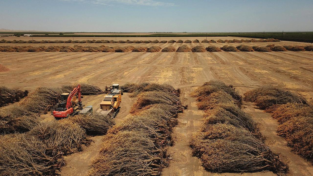 カリフォルニアの農家はいま、前例のない水の使用制限に直面している