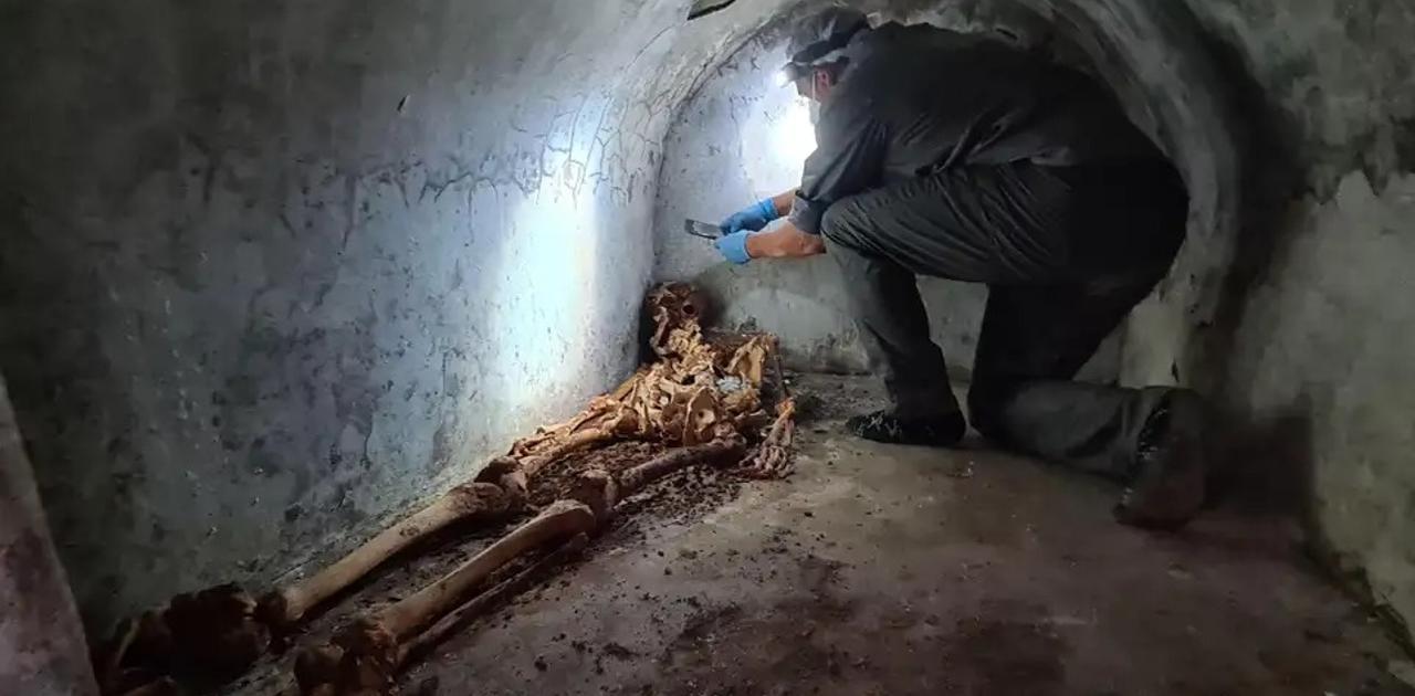 新たに絶滅した3種のクルミがミイラ化した森で発見された