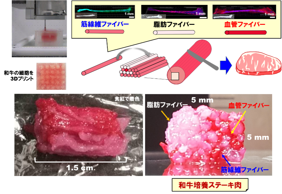 ステーキ肉は印刷する時代へ！ 大阪大学が和牛のサシまで3D印刷を可能にする