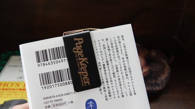 48AABF08-1085-47BC-9450-3A931E79DC02-1