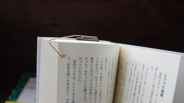 88807DB5-90AE-458D-88AE-4FE52FB4FDC0-1