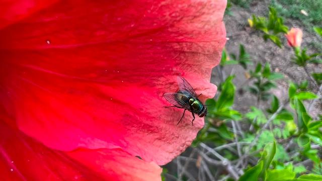 20210928_iphone3