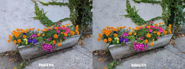 211029_pixel66prorev11