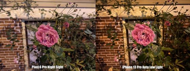 211029_pixel66prorev17