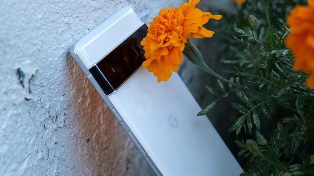 211029_pixel66prorev4