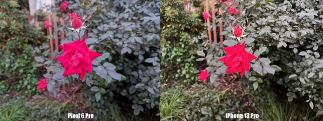 211109vspixel6pro04