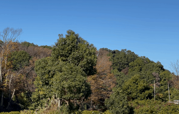 211125sonyairpeak_09