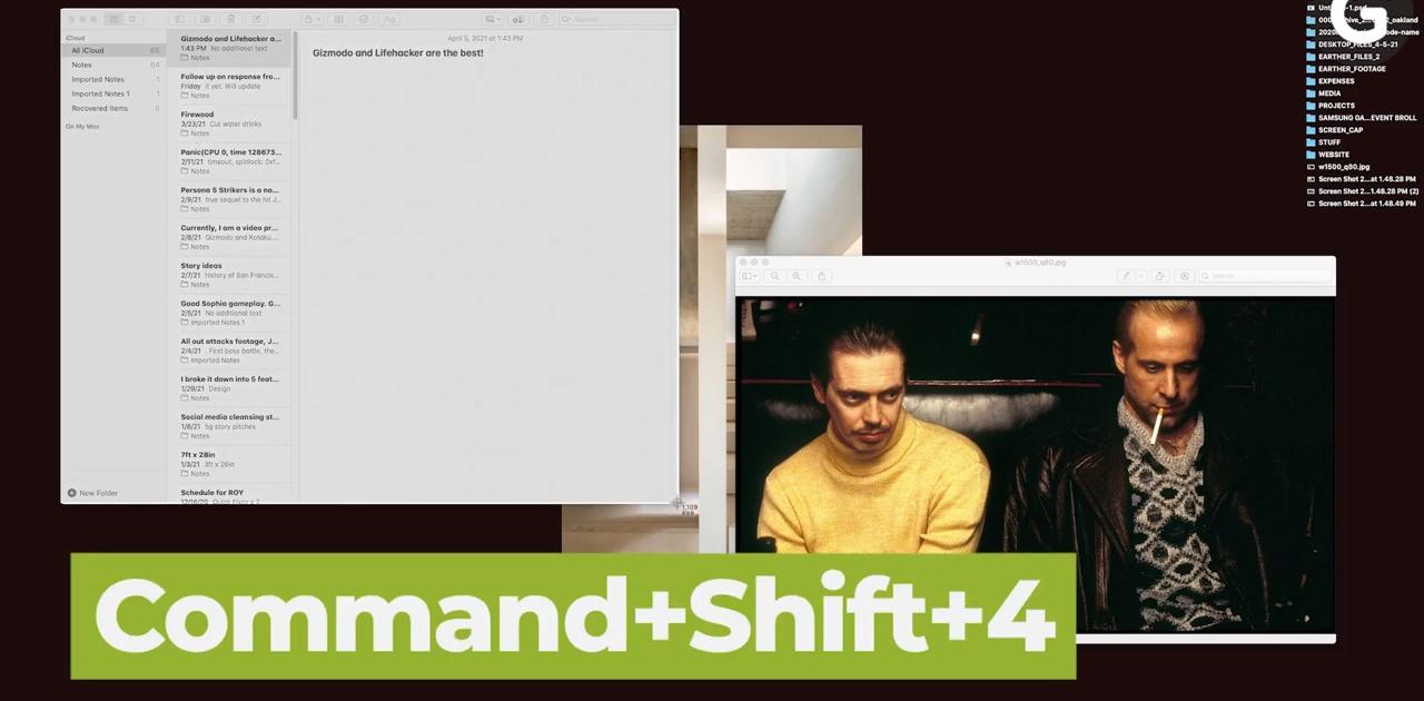 macOS Mojave screenshot tool showing options