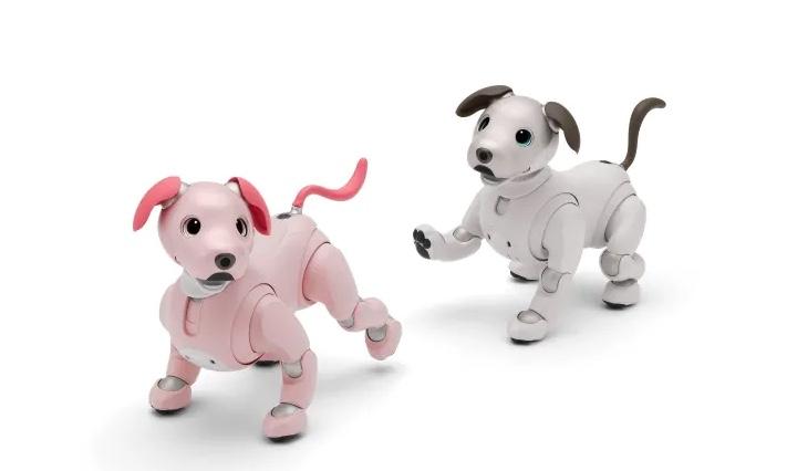 aiboに2022年の新色追加。おいで！「いちごミルク」ちゃん