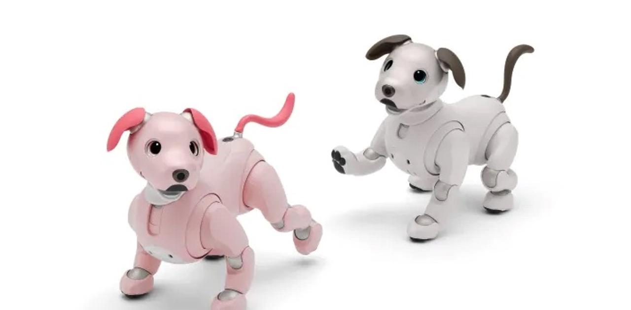 aiboに2022年の新色追加。おいで！｢いちごミルク｣ちゃん 