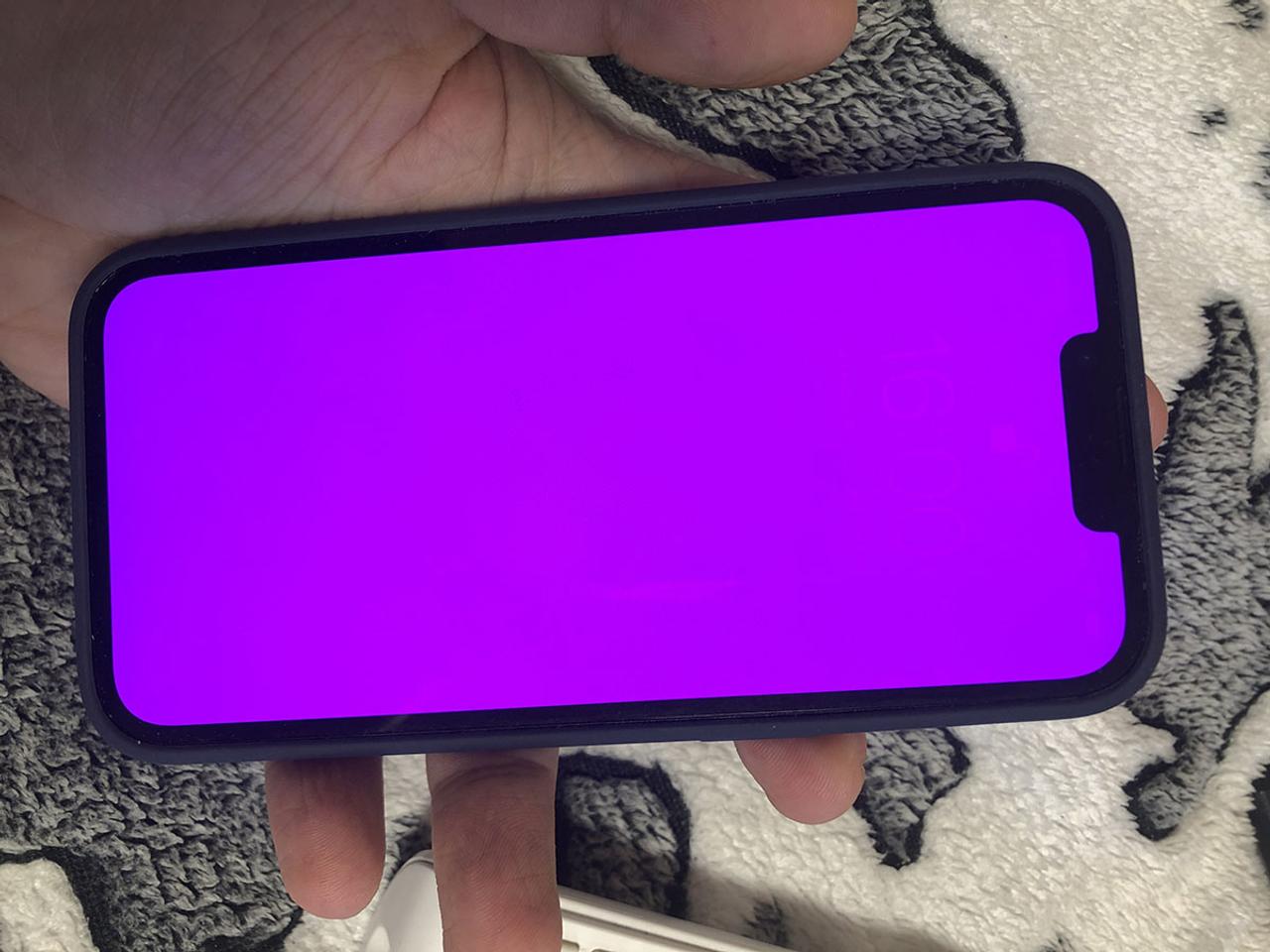 画面が真ピンクになるバグ報告…あなたのiPhone 13は大丈夫？