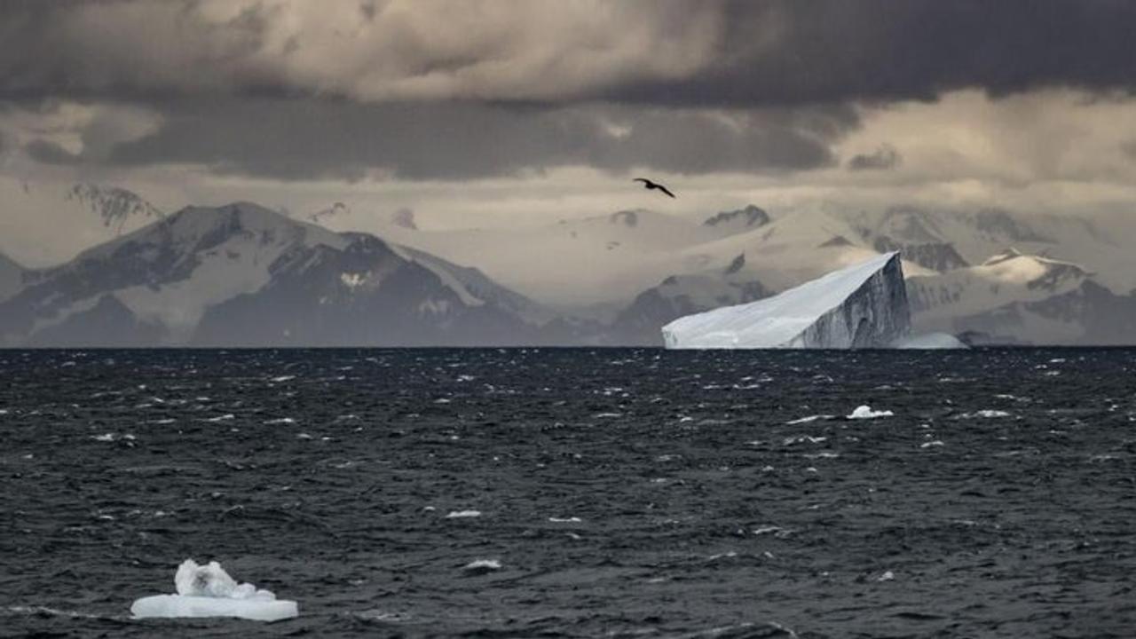南極の海の氷、過去最低レベルの量まで低下