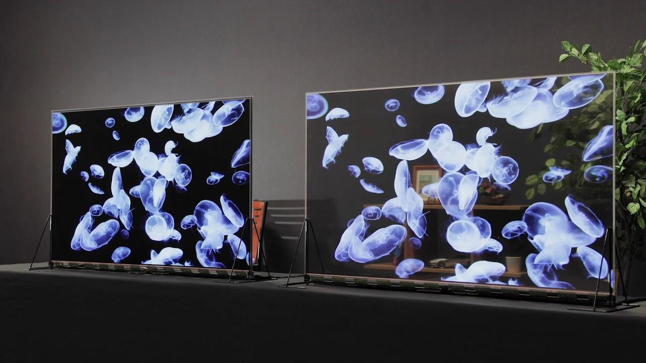 向こう側が透けて見えるぞ？ パナソニック｢透明有機EL