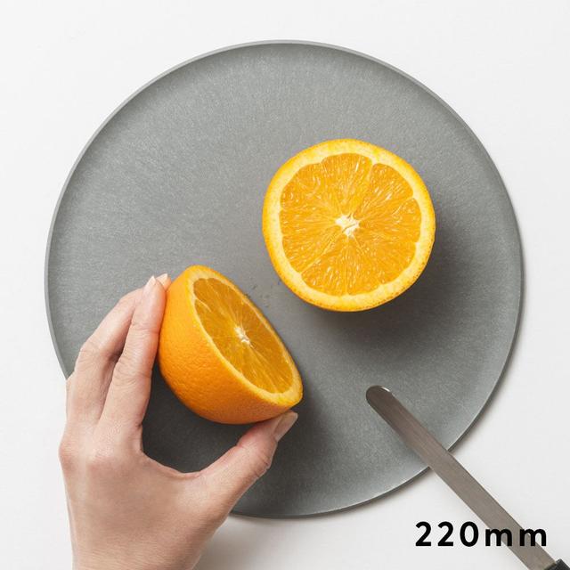 220408choplatestonegray01-1