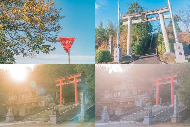 220511_kenko1
