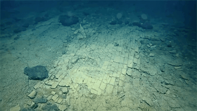 まるで舗道…海底で目撃された神秘的な自然現象