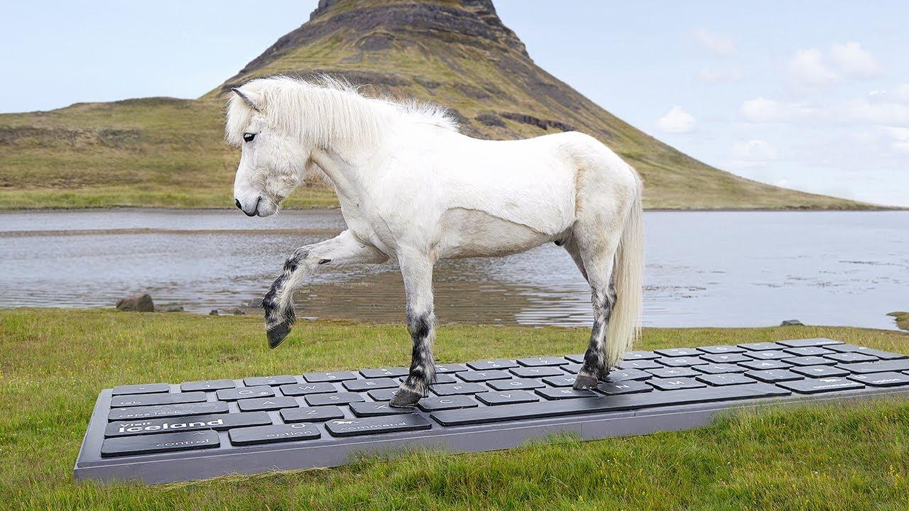 休暇中に来たメールにお馬さんが返信してくれるアイスランドのサービス｢OutHorse｣