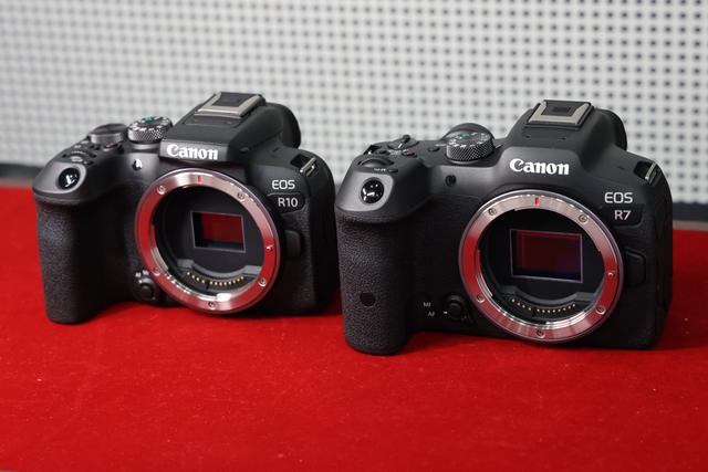 Canon EOS R10 ミラーレス一眼 本体のみ レンズ無し （今年はAPS-Cの 