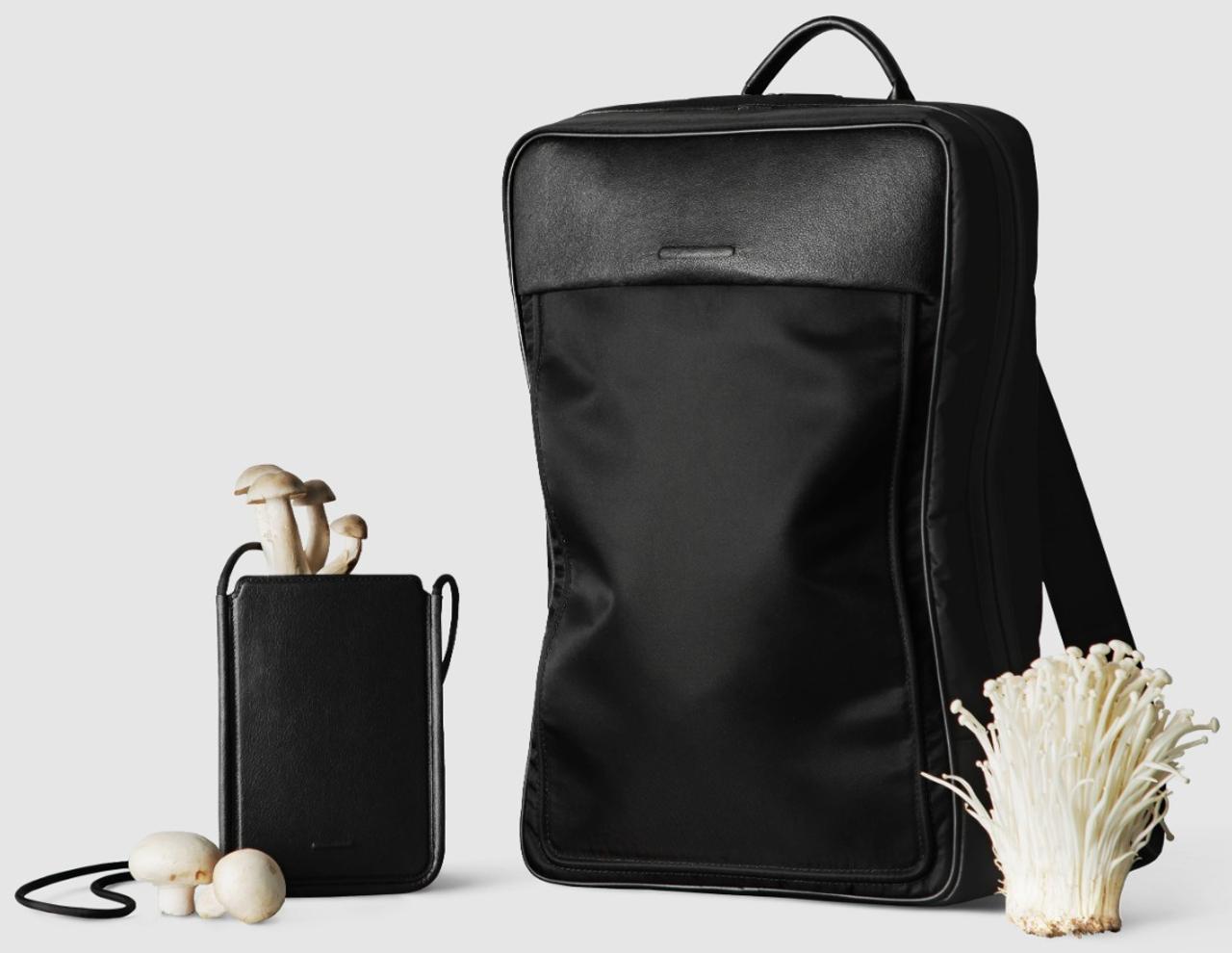 エコでおいしそうなバッグが誕生。キノコの菌糸でつくられた｢マッシュルームレザー｣のバッグ