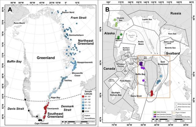 Strange, Isolated Group of Polar Bears Discovered in Greenland_03_Map