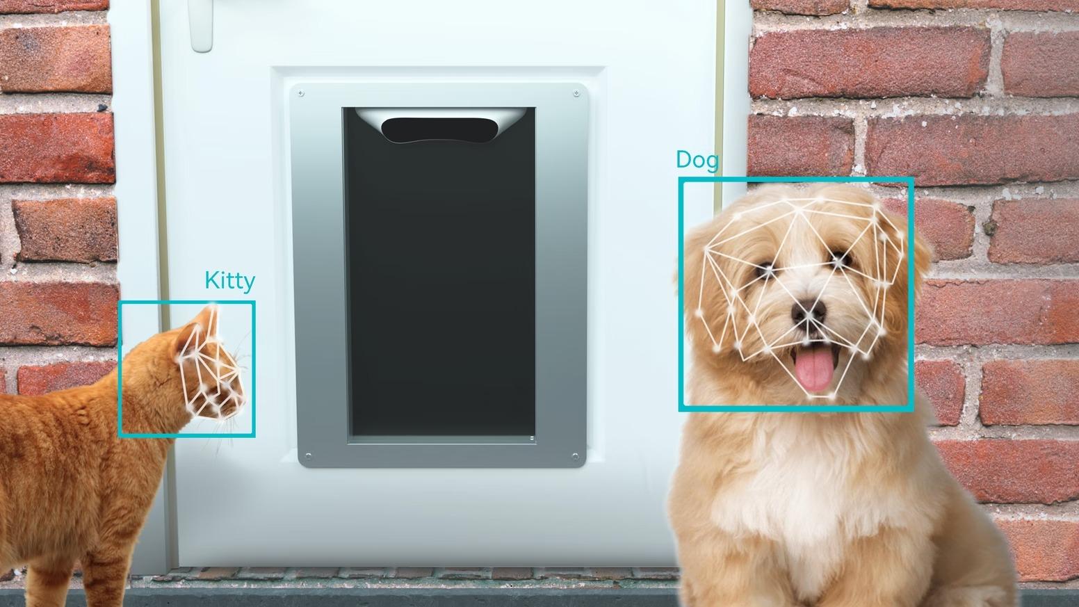 ペットを飼うのもテクノロジー！ 犬猫顔認証対応のペットドア