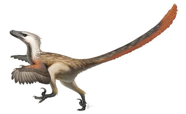 210729_birdsaredinos_ancientbird