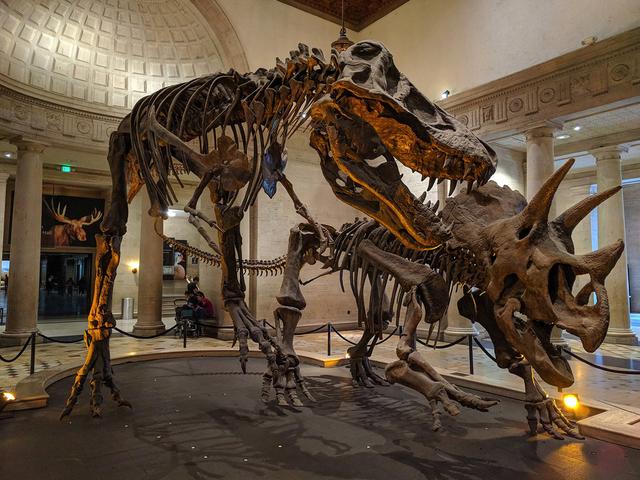 210729_birdsaredinos_dinofossils