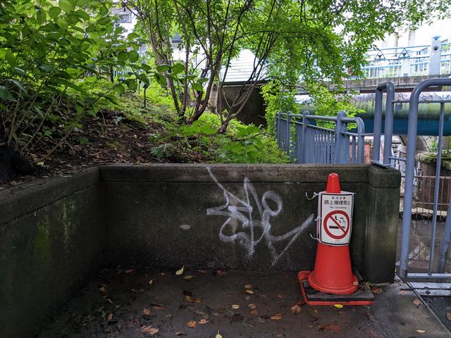 PXL_20220726_091435436_R