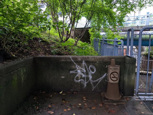PXL_20220726_091435436~2_R