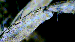 220804_spider_2