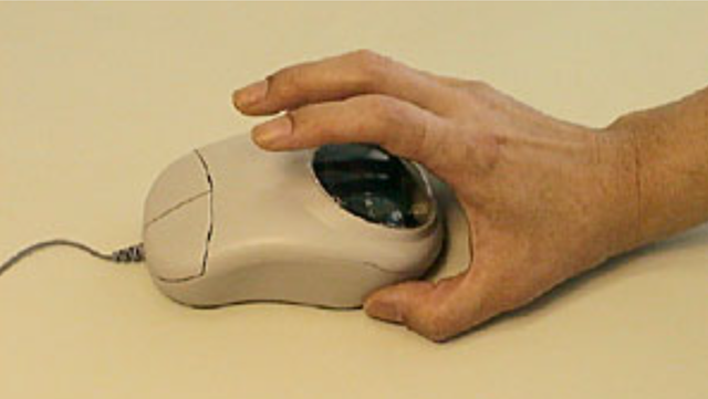 20220806_7_blood_vein_mouse