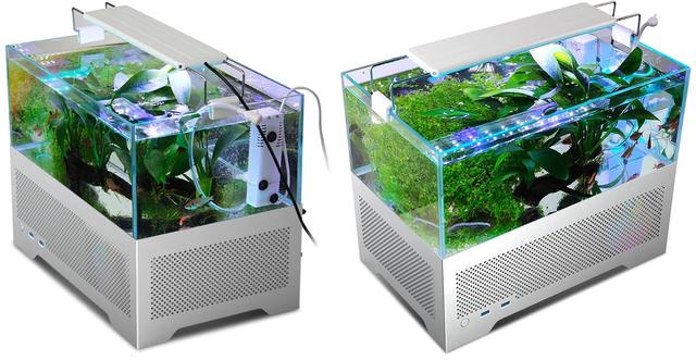 見た目は確かに涼しげです 水槽つきpcケースで魚がユラユラ ギズモード ジャパン