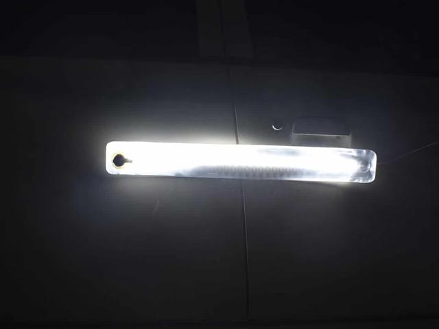 Lightthecampingnightreview09