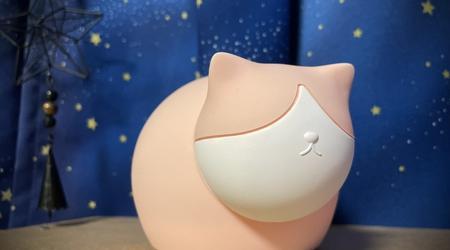 【24時間72%OFF!】夏はキンキンの冷水を入れて冷却アイテムにも。かわいいにゃんこの温活グッズ