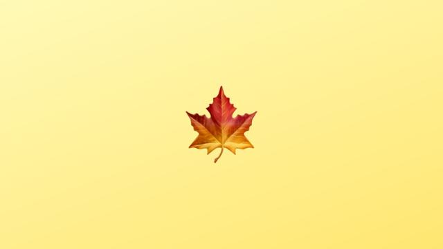 220815drugemoji06