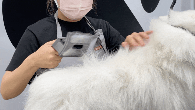 220825dysonpet_12