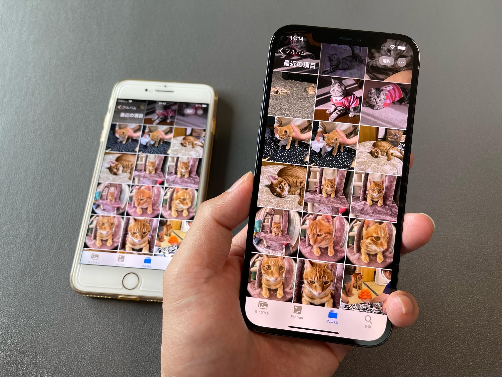 iPhone機種変での｢写真・動画データ移行｣はPCなしでも超簡単