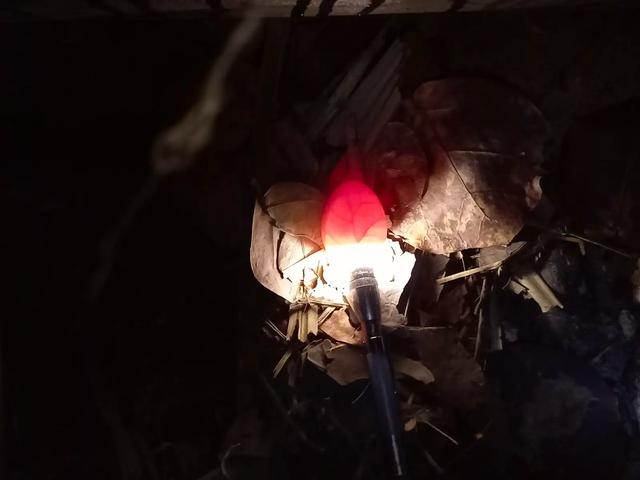 20220827_photos_7