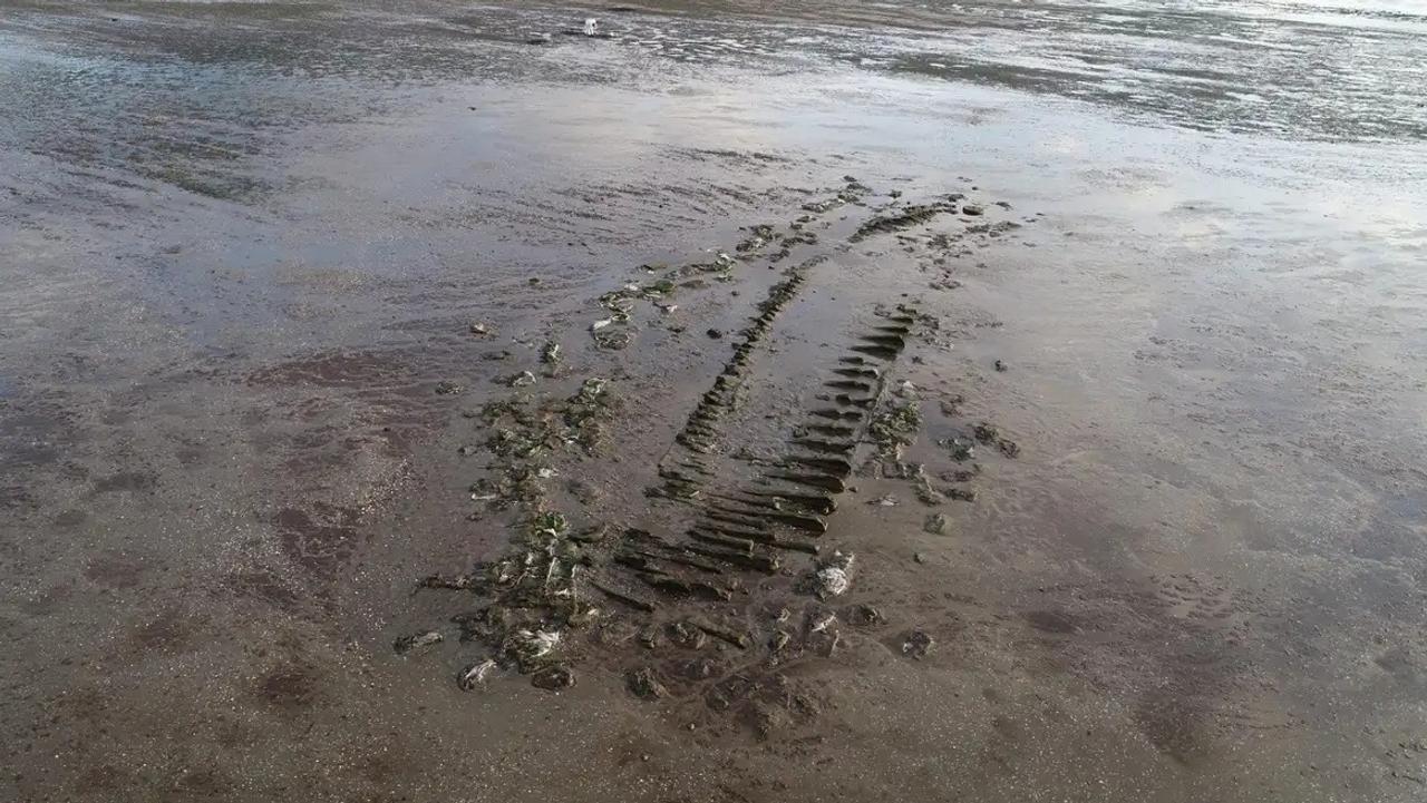 アルゼンチンの海岸で見つかった船の残骸、1859年に行方不明になった米国捕鯨船である可能性が濃厚に