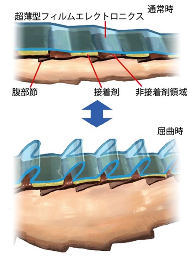 20220905_2_fig2