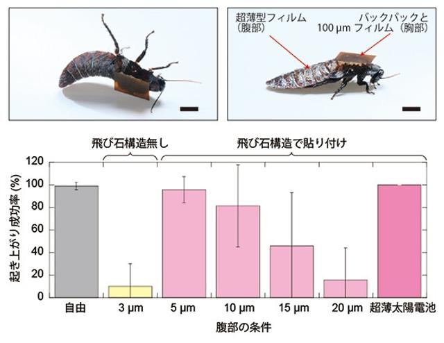 20220905_2_fig4