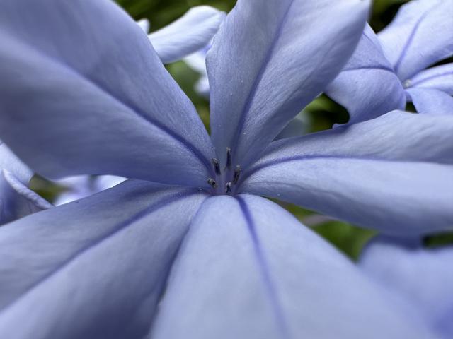 14macro-02