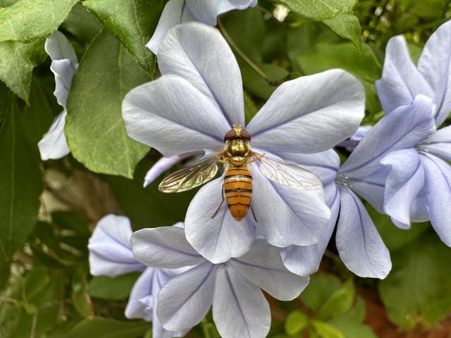 14macro-03